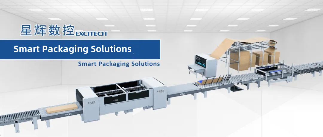 EXCITECH का पेपर कटर किस आकार के डिब्बों को संसाधित कर सकता है?